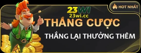VỀ CHÚNG TÔI 23WI